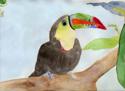 Watercolor Camp PM (Ages 11-14)-FULL