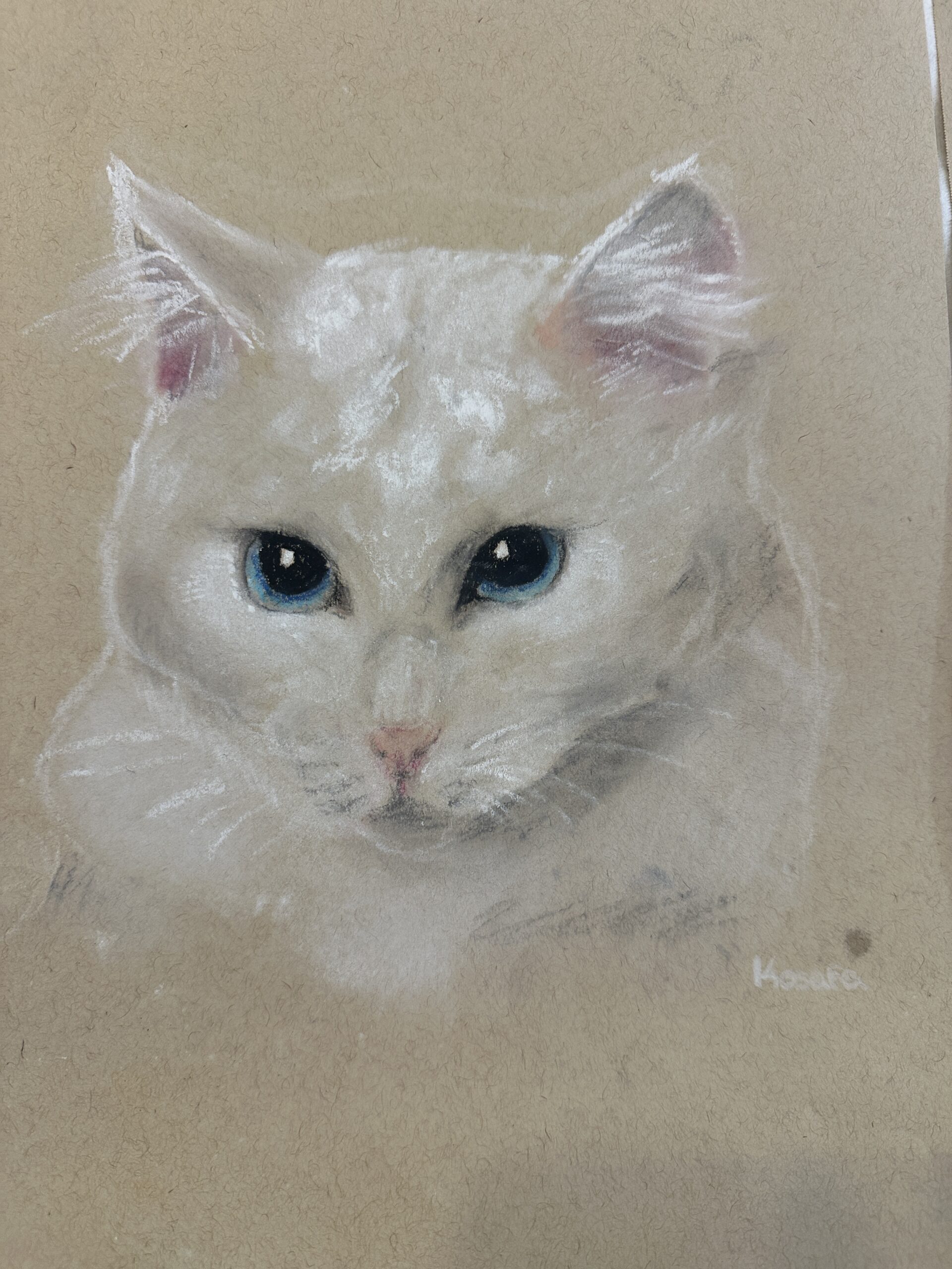 Pastel Cats and Dogs