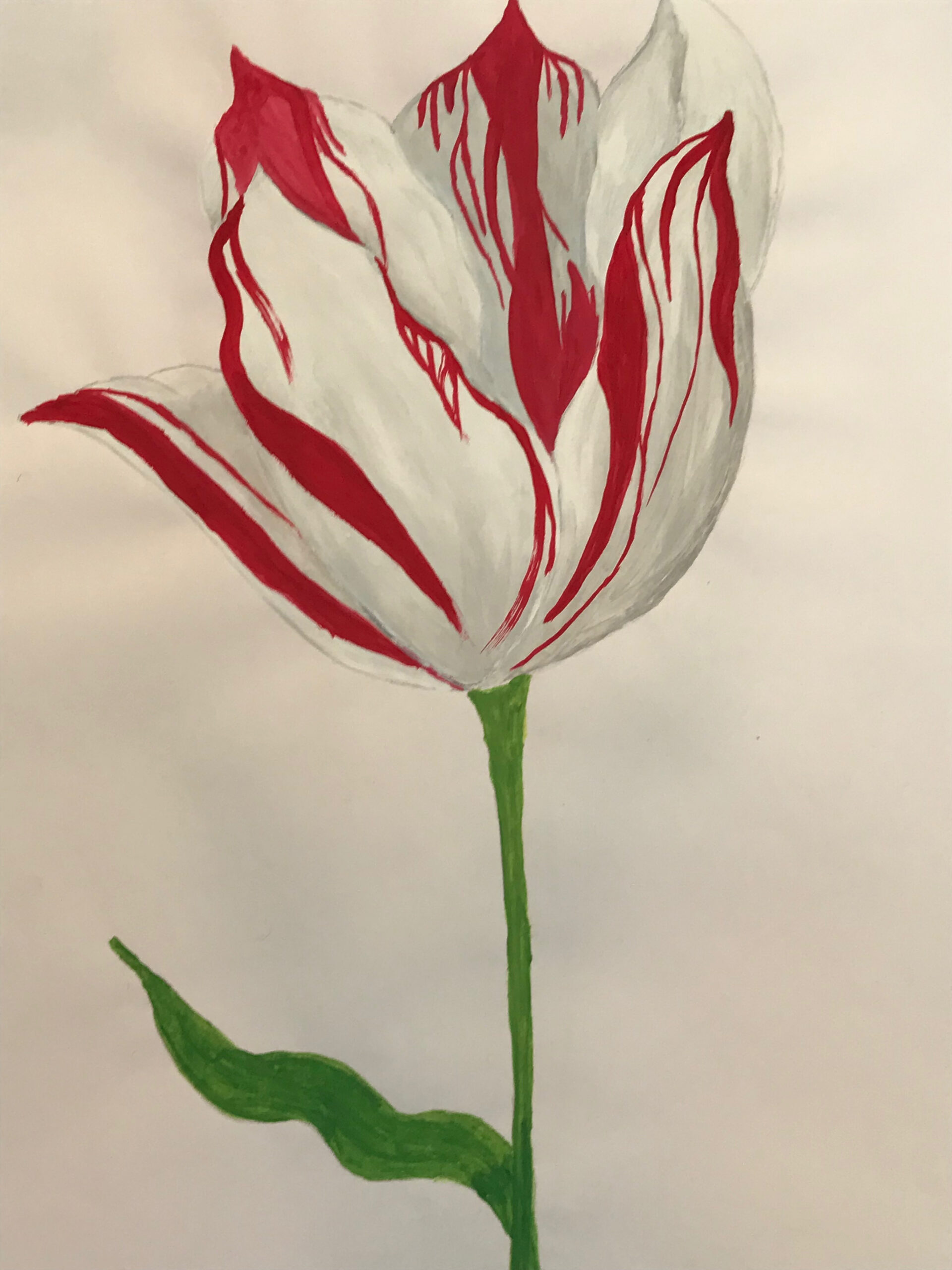 PAINT PARTY-Adults and/or Adults with Kids Ages 14+